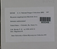 Image Associated With the Occurence